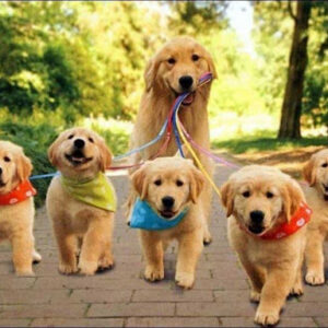 مکمل و ویتامین